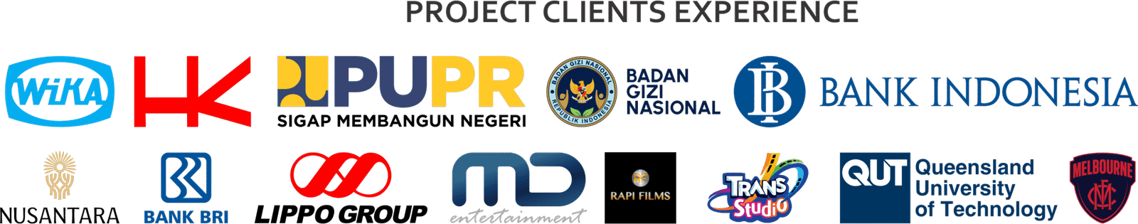 Project Clients Experience